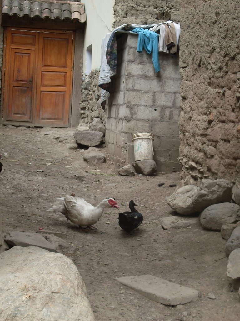 Laundry in Ollantaytambo, Peru ( a bit more on the rustic side)